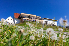  Weingut Perner  Эренхаузен